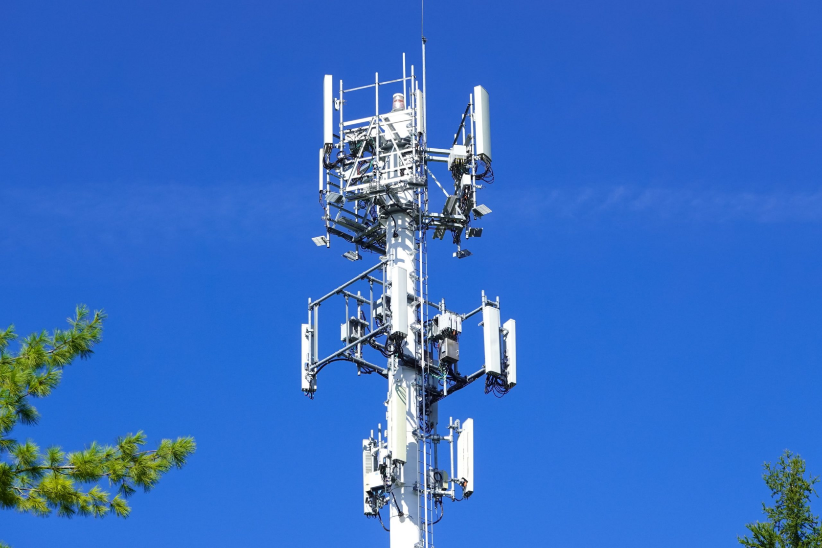 МТС подключила 109 населенных пунктов Тамбовской области к высокоскоростному интернету с начала года