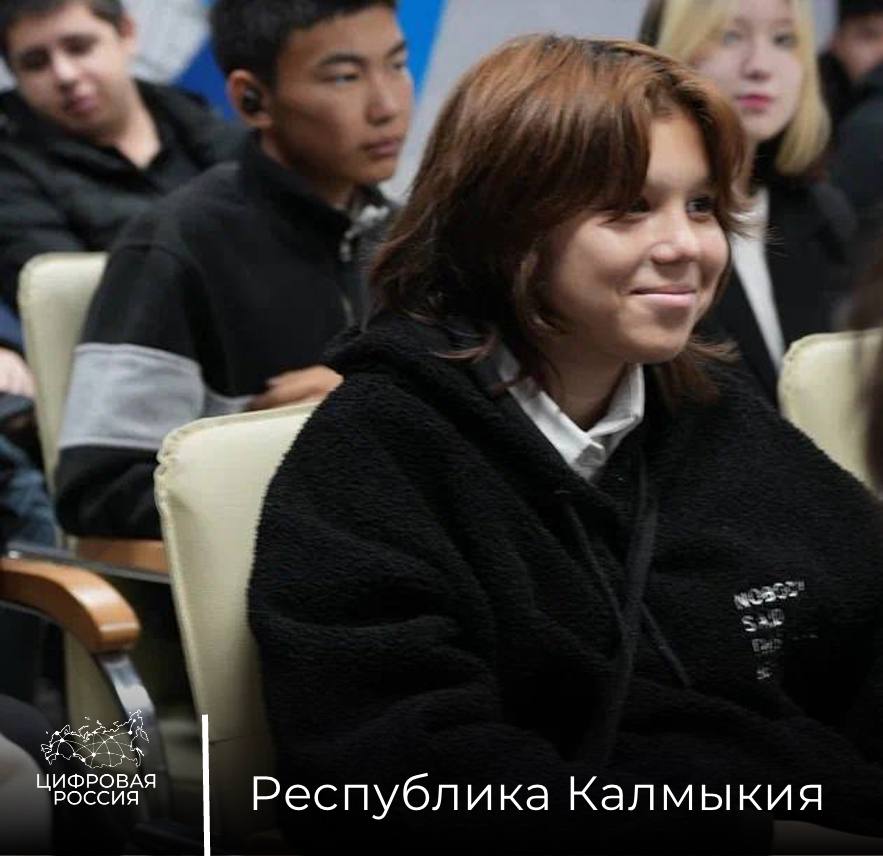 На площадке Штаба общественной поддержки Калмыкии обсудили киберграмотность