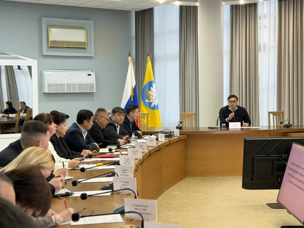 В Республике Калмыкия обсудили принципы и стандарты клиентоцентричности