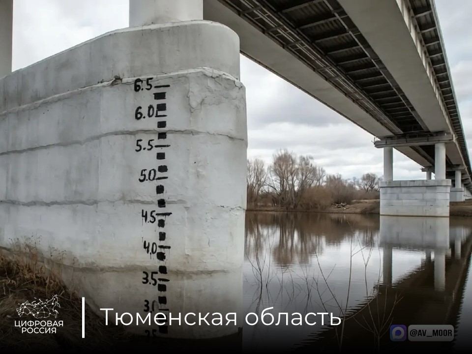 В национальном мессенджере MAX заработал чат-бот по паводку в Тюменской области